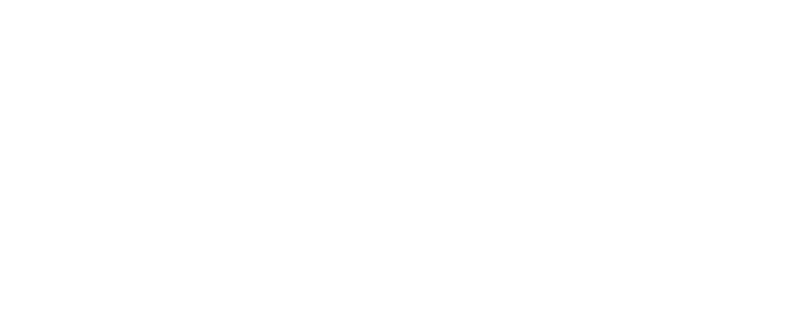 MODUS Development Services